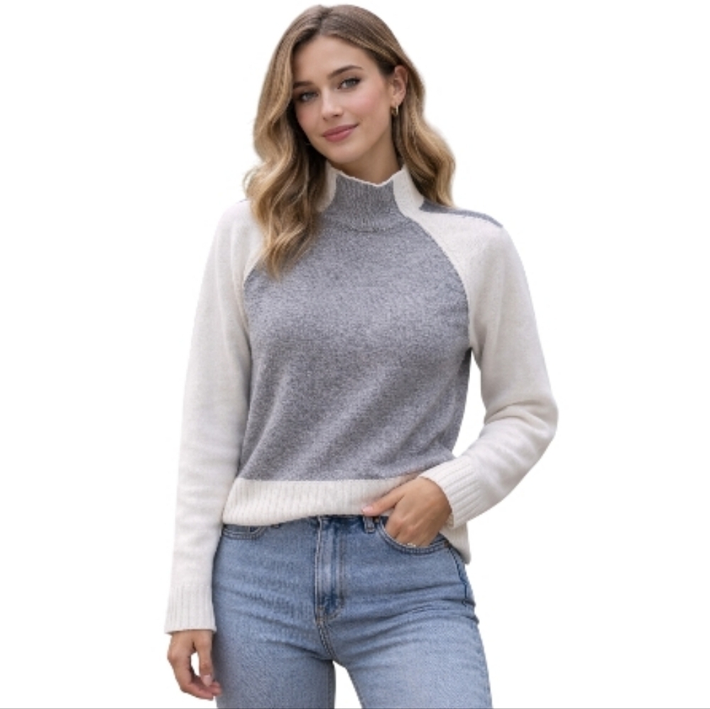 Zaket + Plover Merino Wool Mock Neck Colorblock Sweater Women's Small